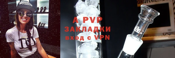 прущие грибы Нефтегорск