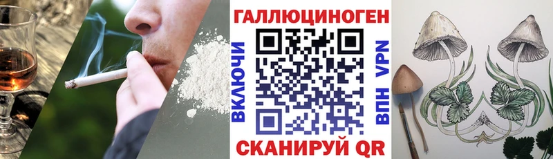 Псилоцибиновые грибы Psilocybine cubensis  Пугачёв 